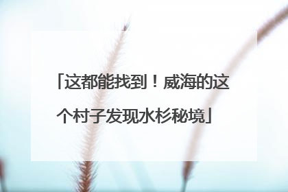 这都能找到！威海的这个村子发现水杉秘境