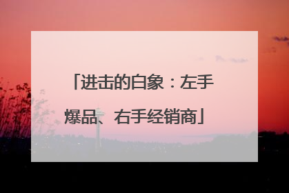 进击的白象：左手爆品、右手经销商