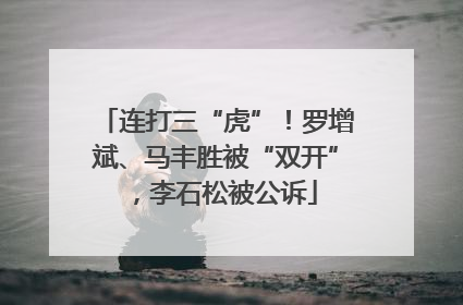 连打三“虎”！罗增斌、马丰胜被“双开”，李石松被公诉