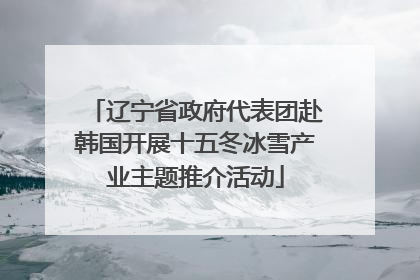 辽宁省政府代表团赴韩国开展十五冬冰雪产业主题推介活动