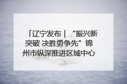 辽宁发布｜“振兴新突破 决胜勇争先”锦州市纵深推进区域中心城市建设 打造高质量发展新增长极