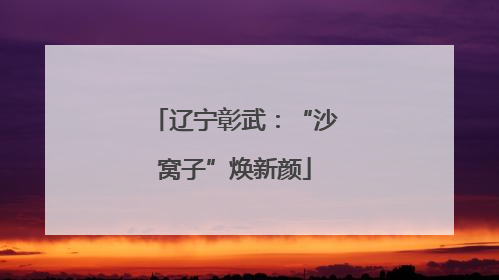 辽宁彰武：“沙窝子”焕新颜