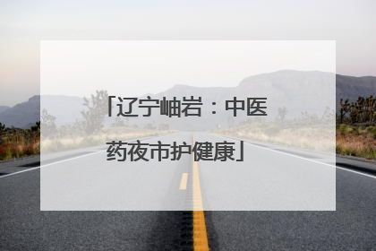 辽宁岫岩：中医药夜市护健康