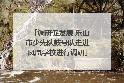 调研促发展 乐山市少先队鼓号队走进凤凰学校进行调研