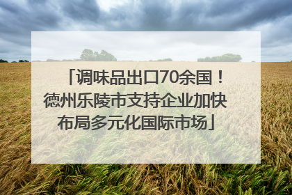 调味品出口70余国！德州乐陵市支持企业加快布局多元化国际市场