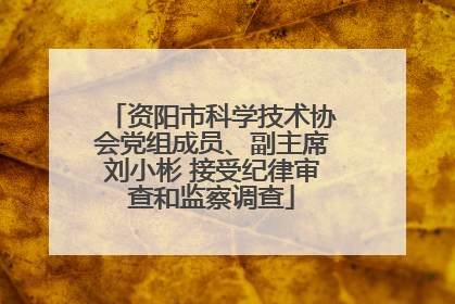 资阳市科学技术协会党组成员、副主席刘小彬 接受纪律审查和监察调查