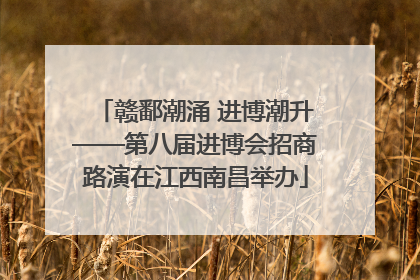赣鄱潮涌 进博潮升——第八届进博会招商路演在江西南昌举办