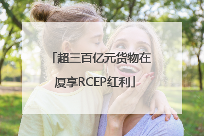 超三百亿元货物在厦享RCEP红利