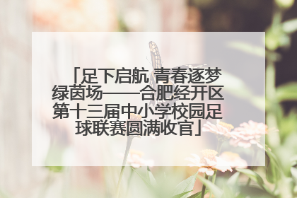足下启航 青春逐梦绿茵场——合肥经开区第十三届中小学校园足球联赛圆满收官