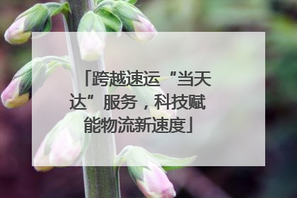 跨越速运“当天达”服务，科技赋能物流新速度