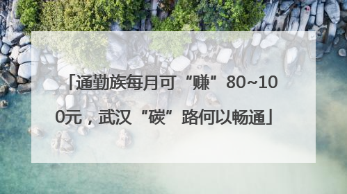 通勤族每月可“赚”80~100元，武汉“碳”路何以畅通