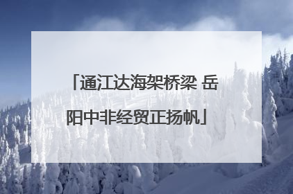 通江达海架桥梁 岳阳中非经贸正扬帆