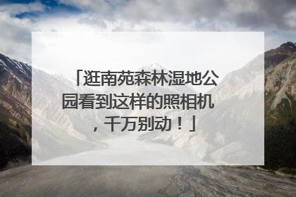 逛南苑森林湿地公园看到这样的照相机，千万别动！