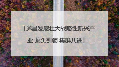 遂昌发展壮大战略性新兴产业 龙头引领 集群共进