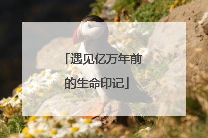 遇见亿万年前的生命印记