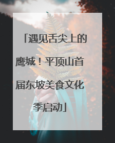 遇见舌尖上的鹰城！平顶山首届东坡美食文化季启动