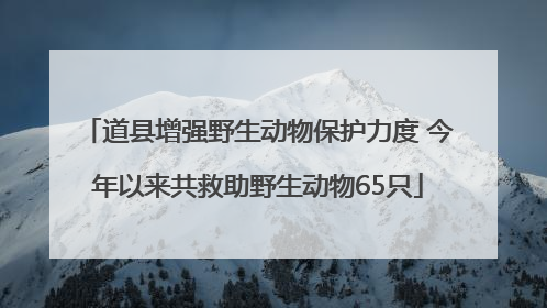 道县增强野生动物保护力度 今年以来共救助野生动物65只