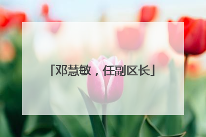 邓慧敏，任副区长