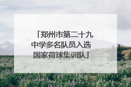 郑州市第二十九中学多名队员入选国家荷球集训队