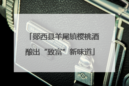 郧西县羊尾镇樱桃酒酿出“致富”新味道