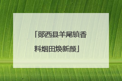 郧西县羊尾镇香料烟田焕新颜