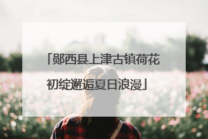 郧西县上津古镇荷花初绽邂逅夏日浪漫