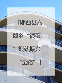 郧西县六郎乡“银茧”织就振兴“金路”