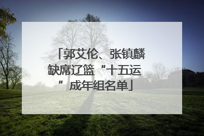 郭艾伦、张镇麟缺席辽篮“十五运”成年组名单
