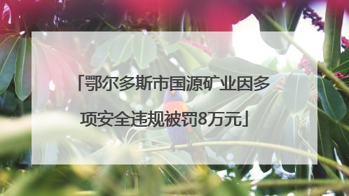 鄂尔多斯市国源矿业因多项安全违规被罚8万元