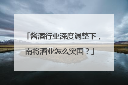 酱酒行业深度调整下，南将酒业怎么突围？