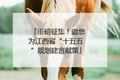重磅征集！邀您为江西省“十五五”规划建言献策