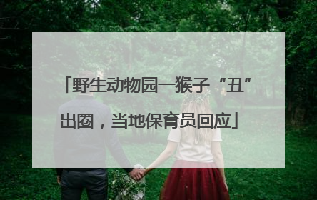 野生动物园一猴子“丑”出圈，当地保育员回应