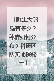 野生大熊猫有多少？种群如何分布？科研团队实地探秘→