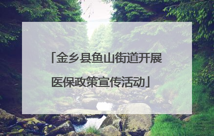 金乡县鱼山街道开展医保政策宣传活动