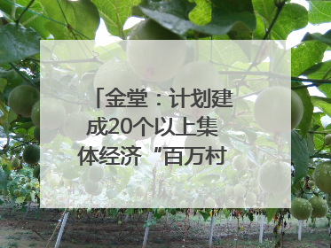 金堂：计划建成20个以上集体经济“百万村”｜成都县市新城高质量发展