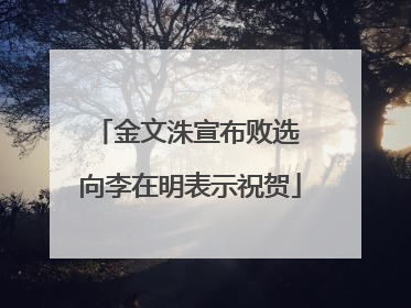 金文洙宣布败选 向李在明表示祝贺