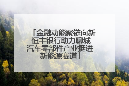 金融动能聚链向新 恒丰银行助力聊城汽车零部件产业挺进新能源赛道