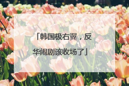 韩国极右翼，反华闹剧该收场了