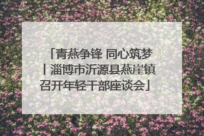 青燕争锋 同心筑梦丨淄博市沂源县燕崖镇召开年轻干部座谈会