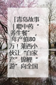 青岛故事｜喂中药“养生餐”，年产值80万！莱西小伙让“自家产”锦鲤“游”向全国