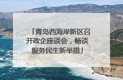 青岛西海岸新区召开政企座谈会，畅谈服务民生新举措