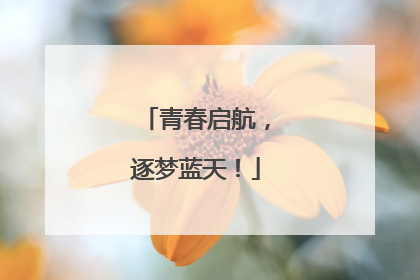 青春启航，逐梦蓝天！