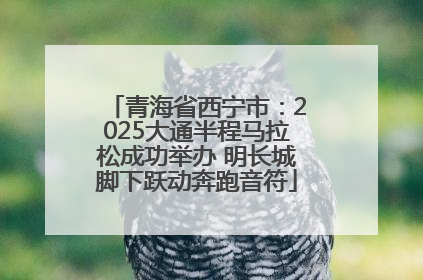 青海省西宁市：2025大通半程马拉松成功举办 明长城脚下跃动奔跑音符