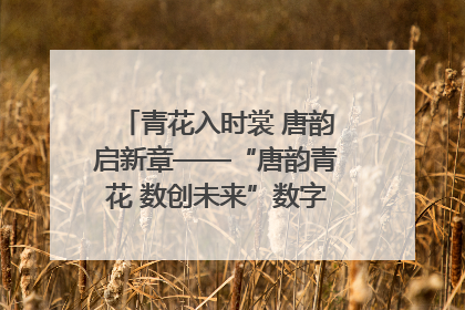 青花入时裳 唐韵启新章——“唐韵青花 数创未来”数字文创设计大赛启幕