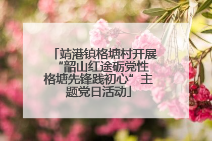 靖港镇格塘村开展“韶山红途砺党性 格塘先锋践初心”主题党日活动