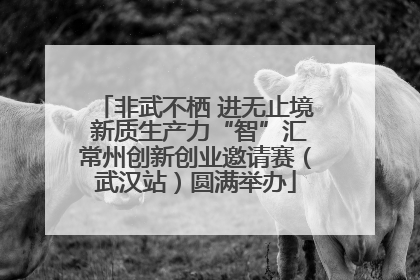 非武不栖 进无止境 新质生产力“智”汇常州创新创业邀请赛（武汉站）圆满举办