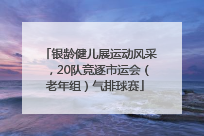 银龄健儿展运动风采，20队竞逐市运会（老年组）气排球赛