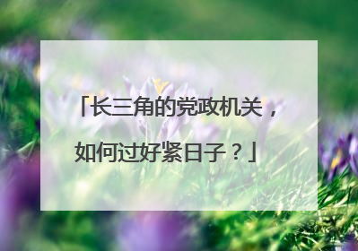 长三角的党政机关，如何过好紧日子？