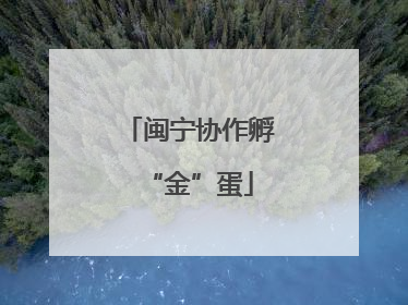 闽宁协作孵“金”蛋