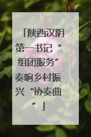 陕西汉阴第一书记“组团服务”奏响乡村振兴“协奏曲”